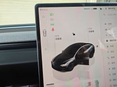 Tesla Model 3 606km Rear-Wheel Drive Edition - фото 10