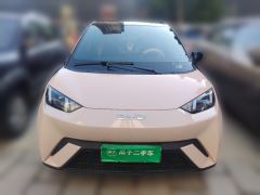 BYD Seagull Edition 305km Edition - photo 2
