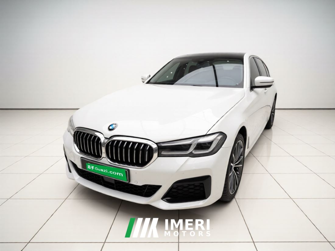 BMW 5 Series 530Li Premier M Sport Package - car from China