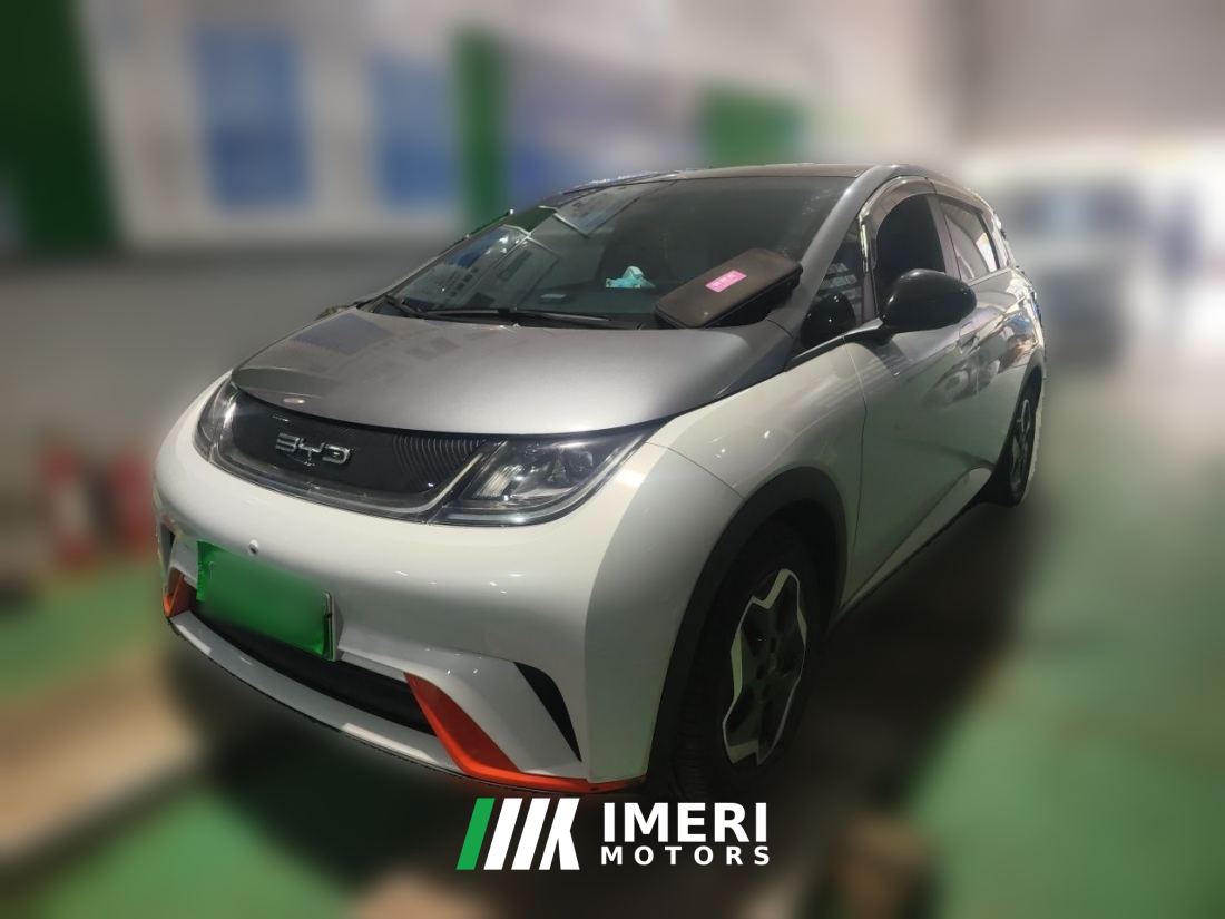 BYD Dolphin 405km Stylish Edition - car from China