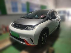 BYD Dolphin 405km Stylish Edition - photo 1