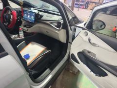 BYD Dolphin 405km Stylish Edition - photo 19