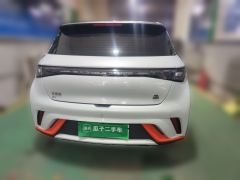 BYD Dolphin 405km Stylish Edition - photo 3
