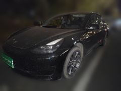 Tesla Model 3 556km Rear-Wheel Drive Edition - ფოტო 1