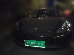 Tesla Model 3 556km Rear-Wheel Drive Edition - ფოტო 2
