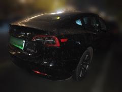 Tesla Model 3 556km Rear-Wheel Drive Edition - ფოტო 4