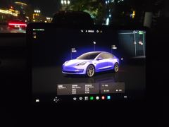 Tesla Model 3 556km Rear-Wheel Drive Edition - ფოტო 7