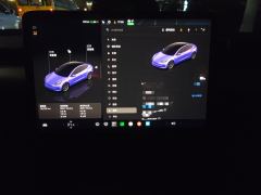 Tesla Model 3 556km Rear-Wheel Drive Edition - ფოტო 9