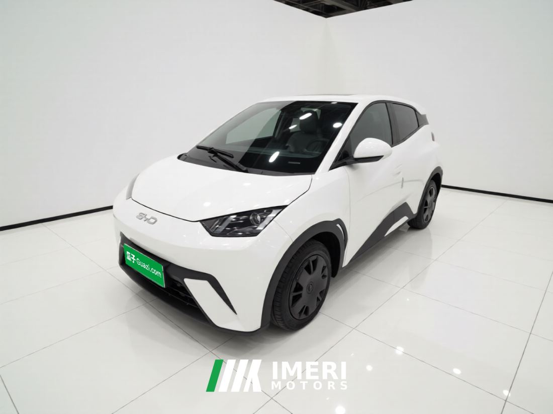 BYD Seagull 305km Vitality Edition - ავტომობილი ჩინეთიდან