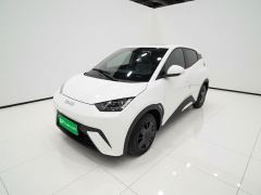 BYD Seagull 305km Vitality Edition - ფოტო 1