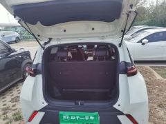 BYD Seagull 305km Vitality Edition - ფოტო 15