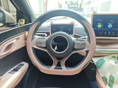 BYD Seagull 305km Vitality Edition - ფოტო 6