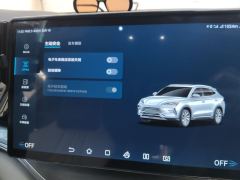 BYD Song PLUS DM-i Champion Edition 1.5L 110km Flagship - фото 20
