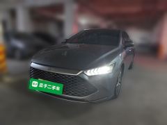 BYD Qin PLUS DM-i 55km Flagship - ფოტო 1