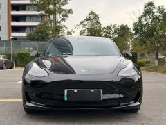 Tesla Model 3 556km Rear-Wheel Drive Edition - ფოტო 1