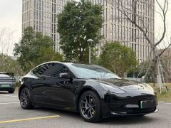 Tesla Model 3 556km Rear-Wheel Drive Edition - ფოტო 3