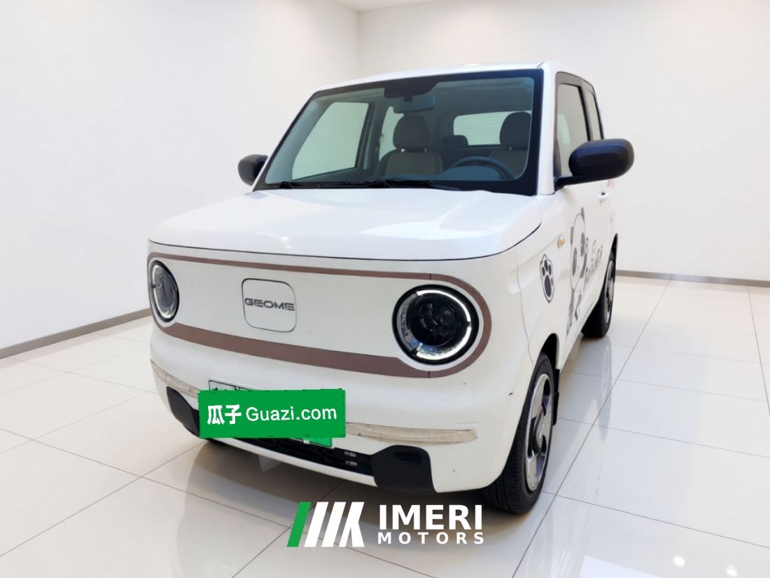 Geely Galaxy Panda mini 200km Animated Bear - ავტომობილი ჩინეთიდან