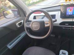 Geely Galaxy Panda mini 200km Animated Bear - ფოტო 11