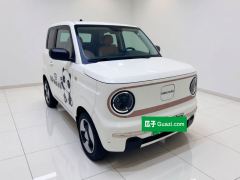 Geely Galaxy Panda mini 200km Animated Bear - ფოტო 3