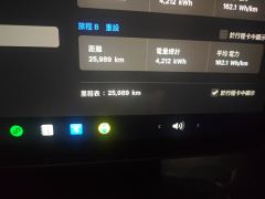 Tesla Model Y 554km Rear-Wheel Drive Edition - ფოტო 13