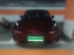 Tesla Model Y 554km Rear-Wheel Drive Edition - ფოტო 2