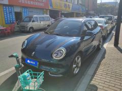 Ora Great Wall Good Cat 401km Standard Range Luxury Edition Lithium iron phosphate - photo 1