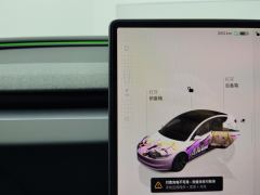 Tesla Model 3 634km Rear-Wheel Drive Edition - ფოტო 19