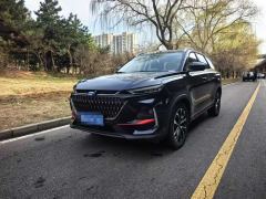 Oshan X7 PLUS Edition 1.5T Premium Version 7 - ფოტო 1
