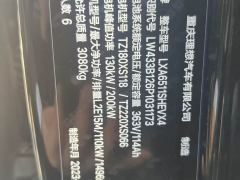 Li Auto Ideal L8 Air - ფოტო 8