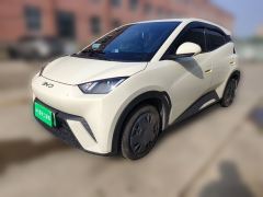 BYD Seagull 305km Vitality Edition - ფოტო 1