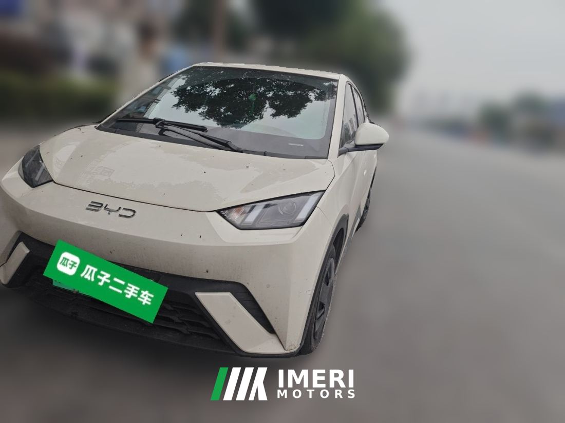 BYD Seagull 305km Vitality Edition - ავტომობილი ჩინეთიდან