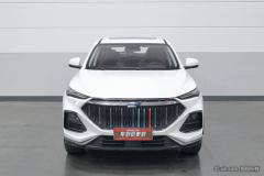 Oshan Oushang X5 1.5T Premium Version - ფოტო 3