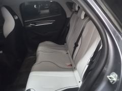 BYD Destroyer 05 DM-i Champion Edition 1.5L 55km Luxury Edition - фото 13