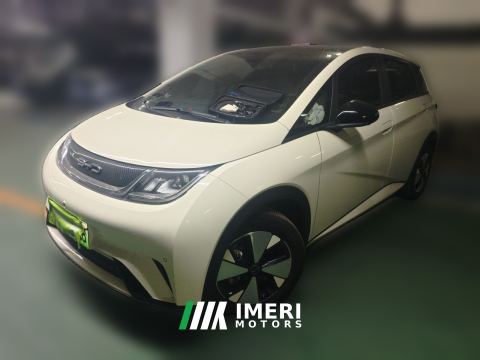 2023 BYD Dolphin 420km Stylish Edition - ავტომობილი ჩინეთიდან