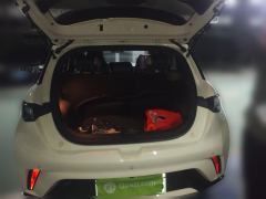 BYD Dolphin 420km Stylish Edition - photo 20