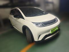 BYD Dolphin 420km Stylish Edition - photo 3