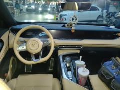 Voyah FREE 123km AWDEREVLuxury - ფოტო 5