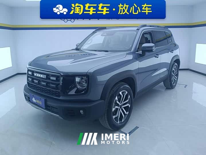 Great Wall Dachshund 1.5T DCT Border Collie Edition