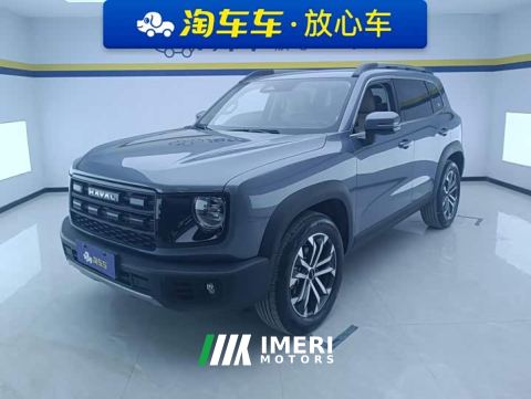 2025 Great Wall Dachshund 1.5T DCT Border Collie Edition - car from China