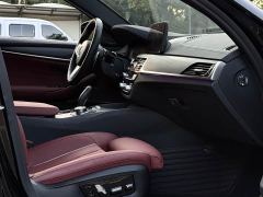 BMW 5 Series Facelift 530Li Luxury Edition Premium Package - photo 9