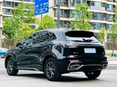 FAW Hongqi HS5 2.0T 2WDPro50Anniversary Edition - photo 8