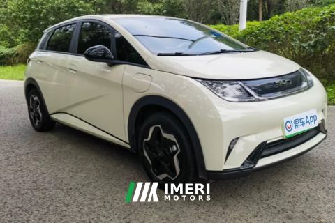 2021 BYD Dolphin 405km Stylish Edition - car from China