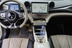 BYD Dolphin 405km Stylish Edition - ფოტო 6
