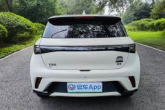 BYD Dolphin 405km Stylish Edition - ფოტო 8