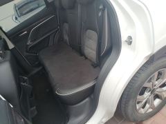 Haval H6 Guochao Edition 1.5T 2WD Champion Edition - photo 19