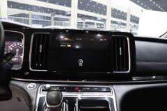 GAC Trumpchi M8 Aion M8 Master Series 390T Premium Edition - photo 17