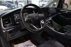 GAC Trumpchi M8 Aion M8 Master Series 390T Premium Edition - photo 6