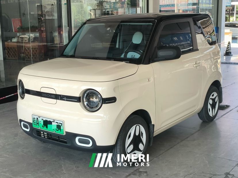 Geely Galaxy Panda mini 210km Yuanqi Bear - ავტომობილი ჩინეთიდან