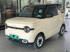 Geely Galaxy Panda mini 210km Yuanqi Bear - ფოტო 1