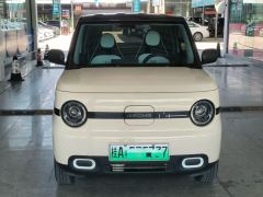 Geely Galaxy Panda mini 210km Yuanqi Bear - ფოტო 2